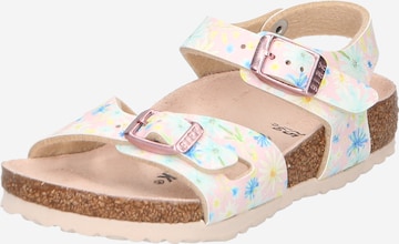 BIRKENSTOCK Sandals 'Rio' in Pink: front