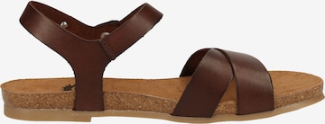 Sandalo di COSMOS COMFORT in marrone