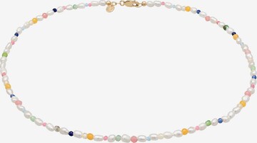 ELLI PREMIUM Necklace in Mixed colors: front