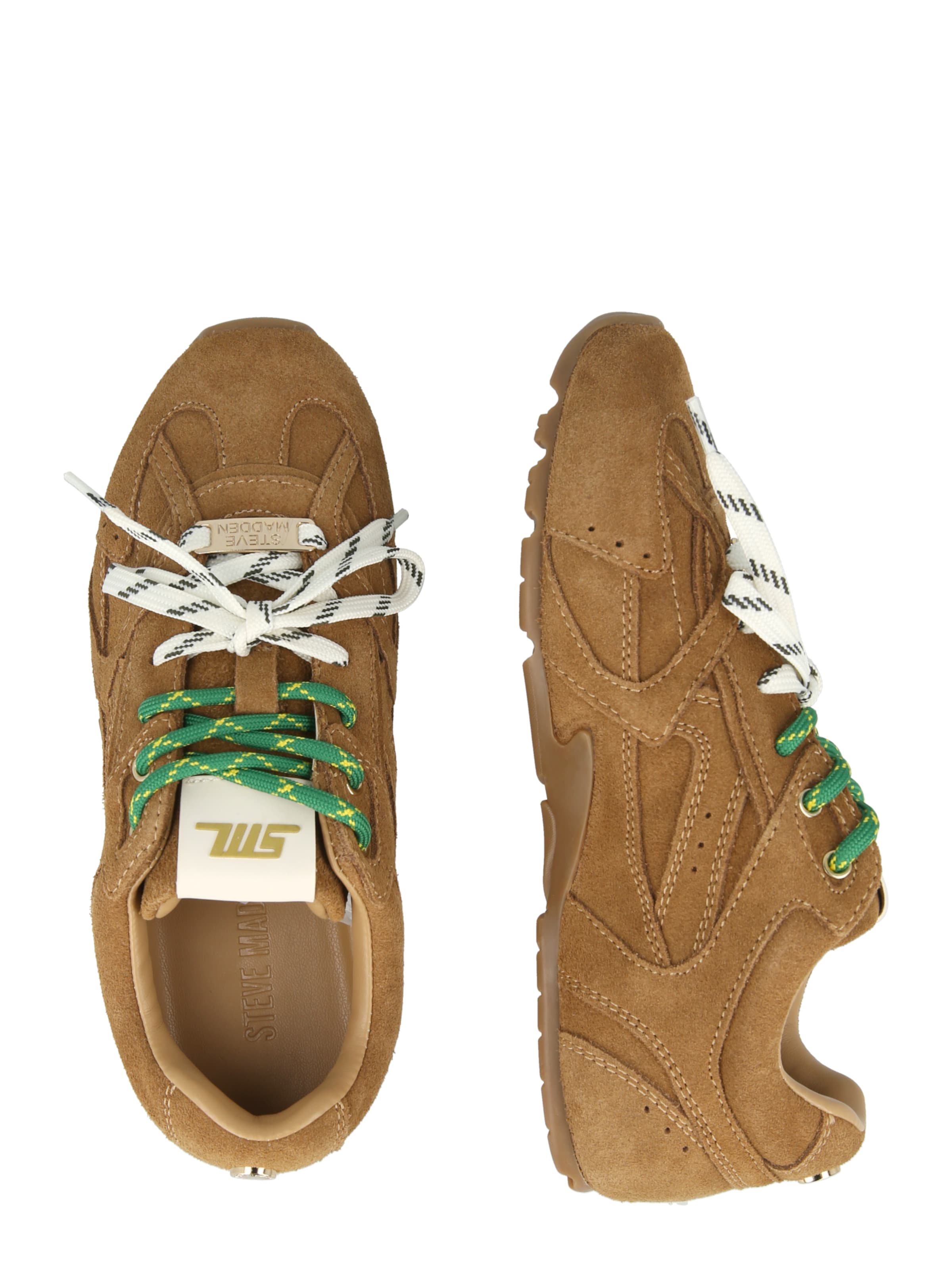 Baskets basses 'Asiel' STEVE MADDEN en marron