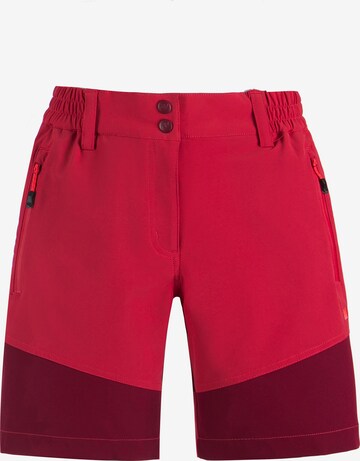 Whistler Regular Workout Pants 'LALA' in Red: front