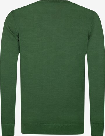 DENIM CULTURE Sweater 'MANNO' in Green