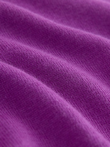 Next Свитер в Лиловый