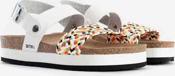 Bayton Sandal 'Almeria' in Mixed colours