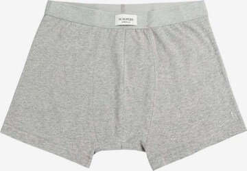 Scalpers Boxer shorts in Grey: front