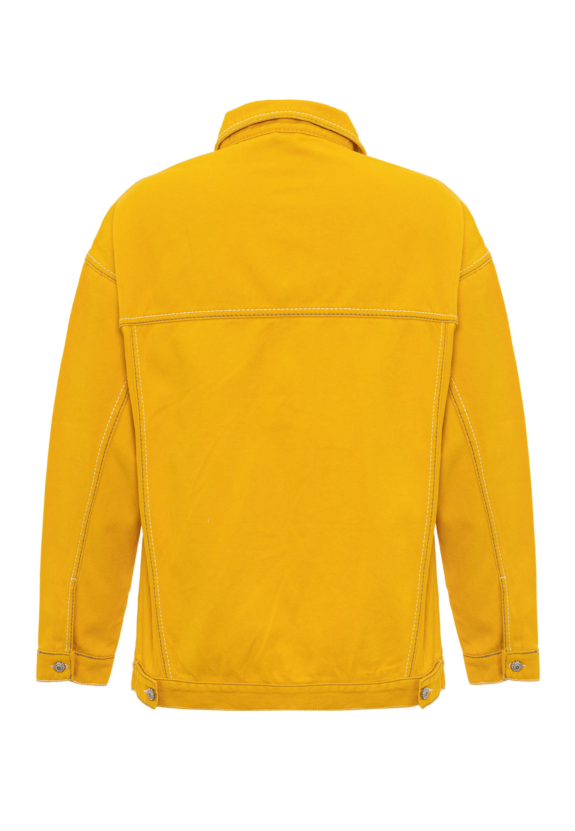 CIPO & BAXX Tussenjas in Geel