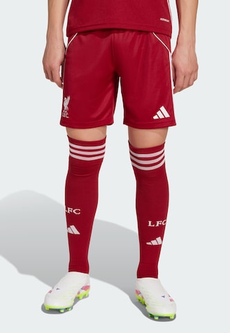 Regular Pantalon de sport 'FC Liverpool FC 25/26' ADIDAS PERFORMANCE en rouge : devant