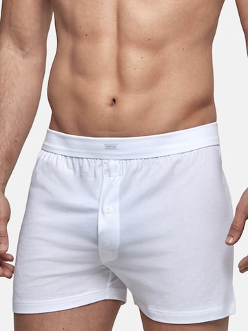 IMPETUS - Boxers em branco: frente