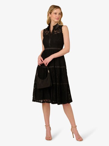 Adrianna Papell Blusenkleid in Schwarz