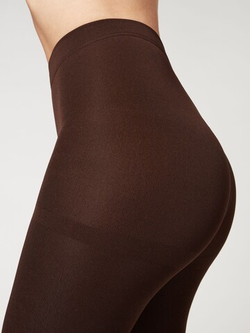 CALZEDONIA Tights 'thermo' in Brown: front