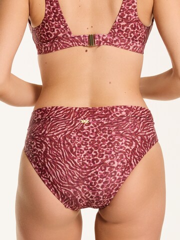 Shiwi Triangle Bikini in Brown