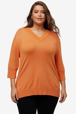 Ulla Popken Pullover in Orange: predná strana