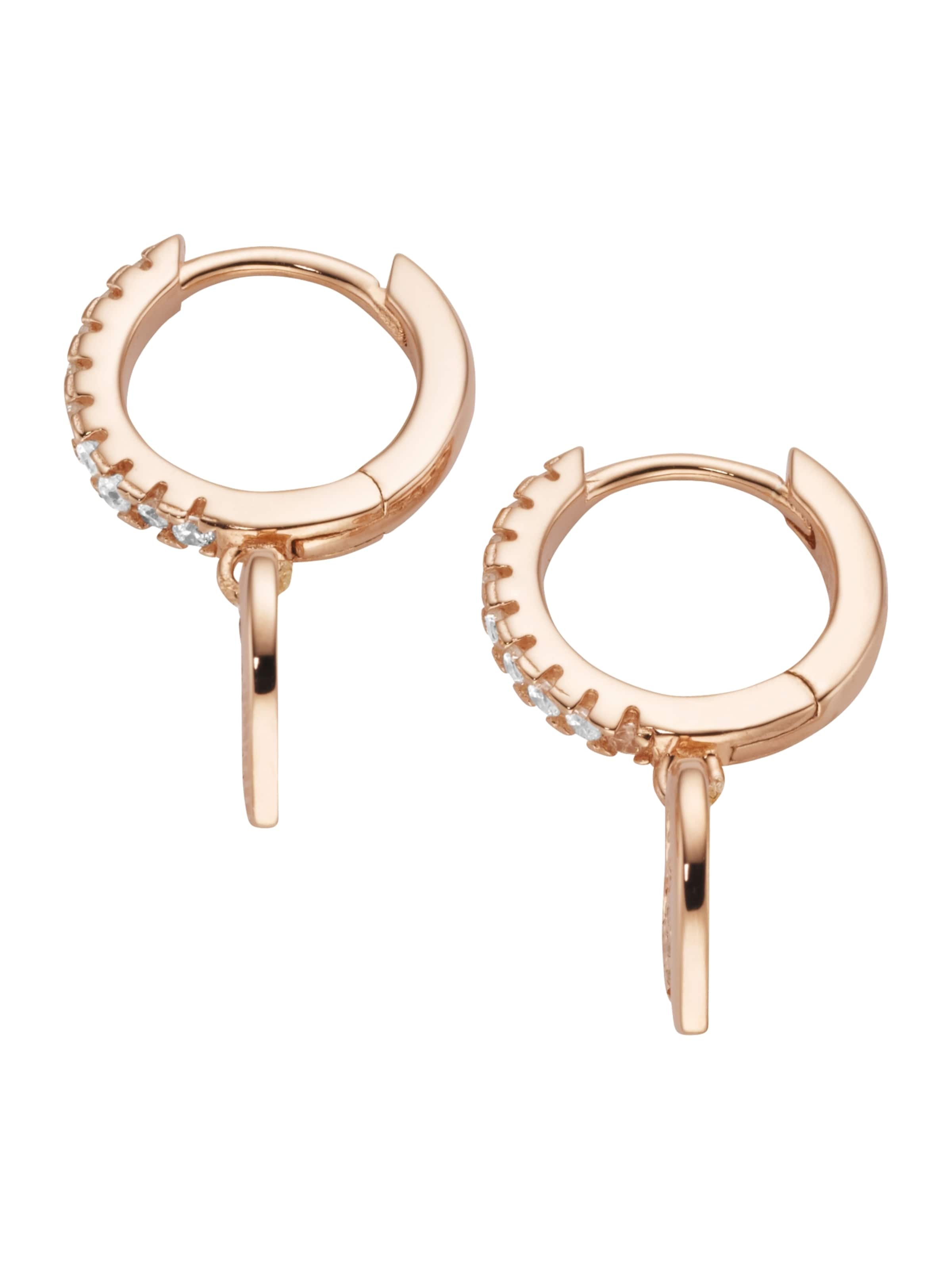 Orecchini di Smart Jewel in oro