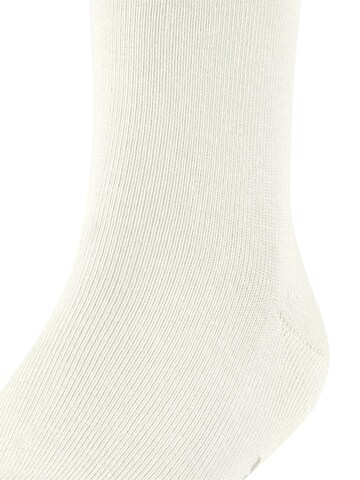 FALKE Socks 'Family' in White
