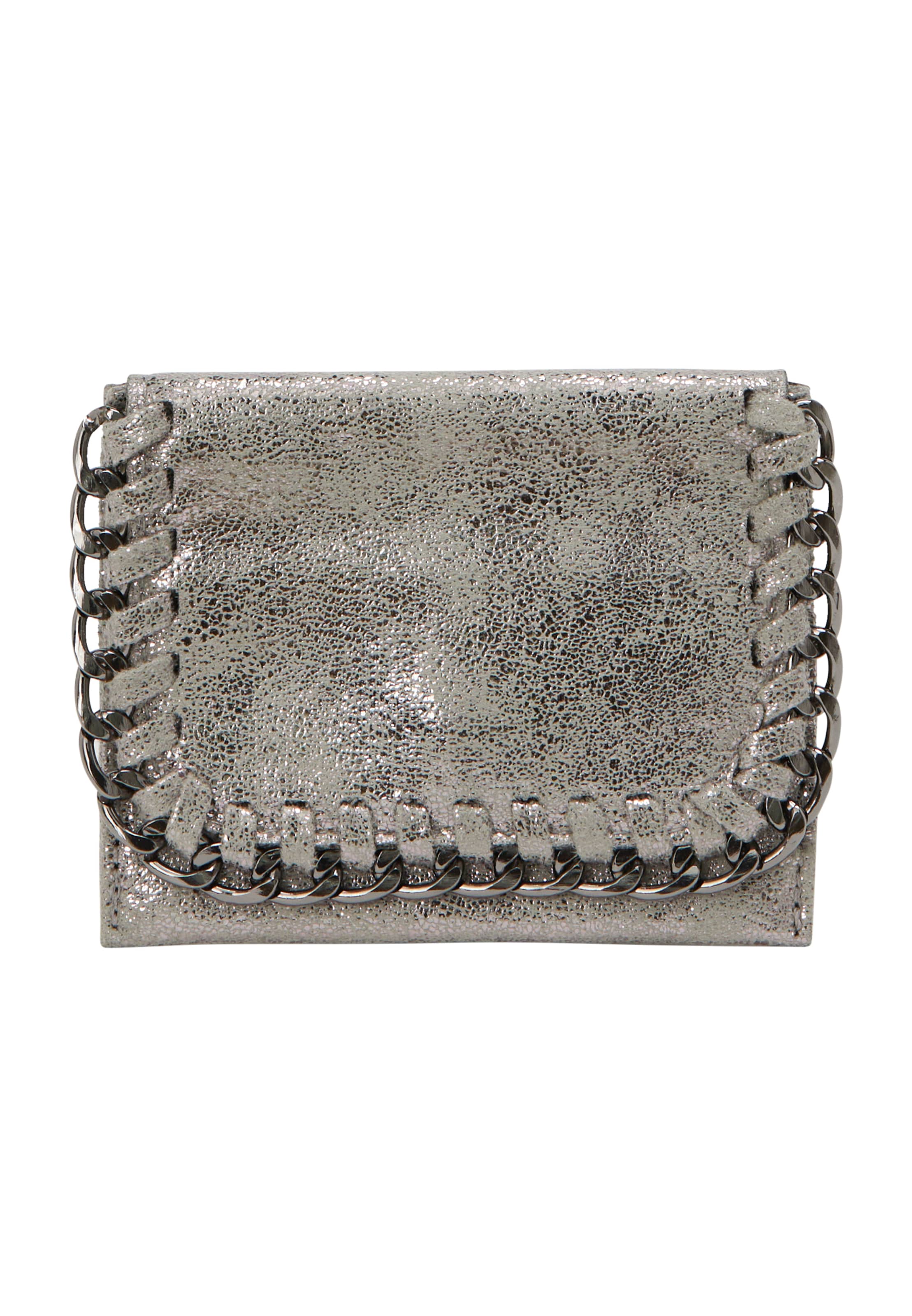 IZIA Футляр в Серебристый: спереди