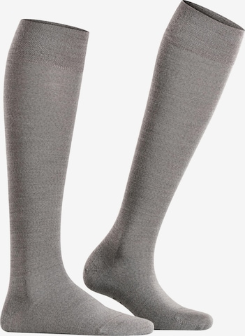 FALKE Over the Knee Socks 'Sensitive Berlin' in Grey: front