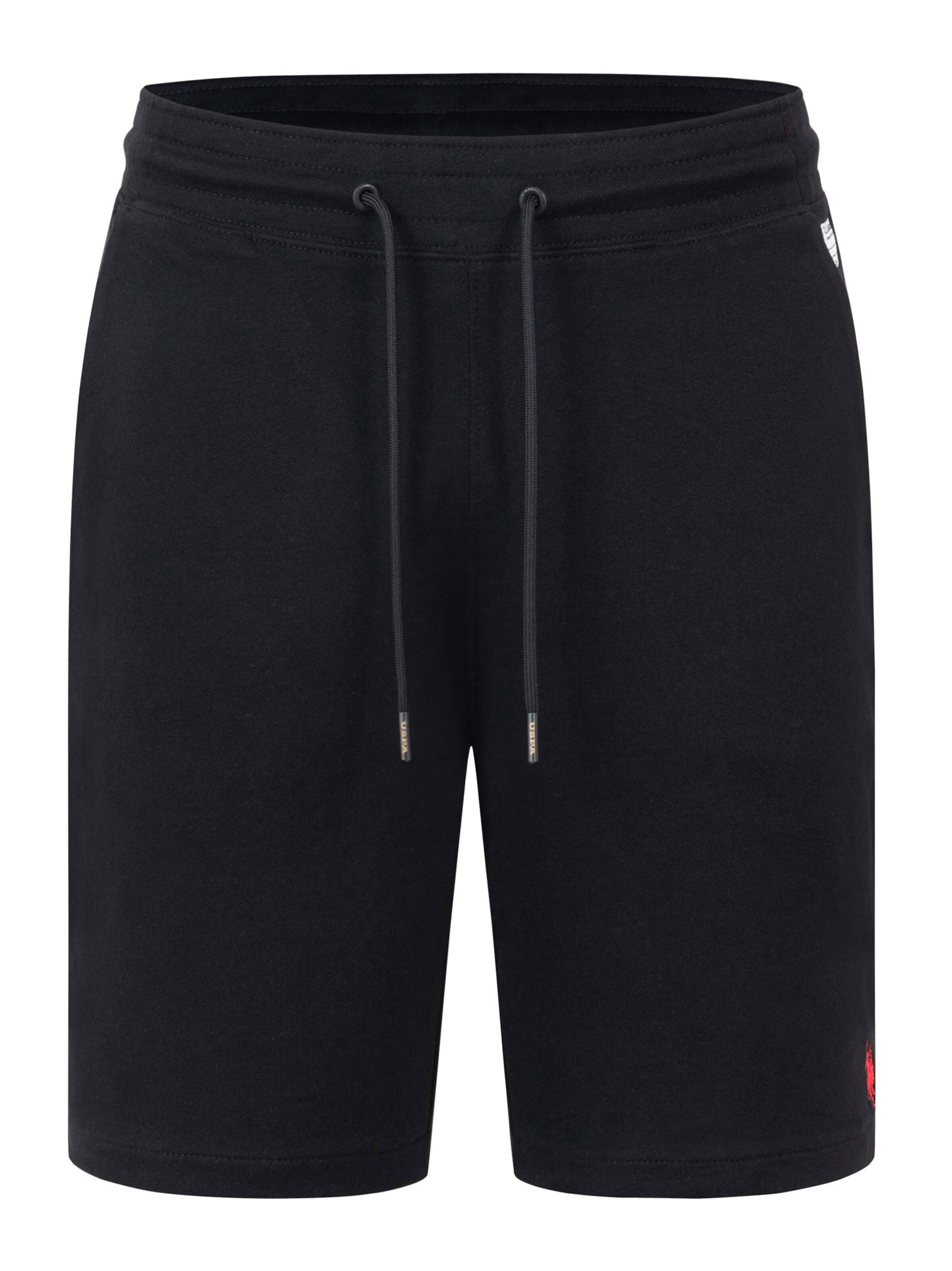 U.S. POLO ASSN. Pants in Black: front