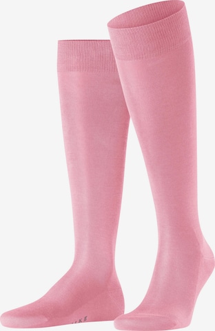 FALKE Knee High Socks 'Tiago' in Pink: front