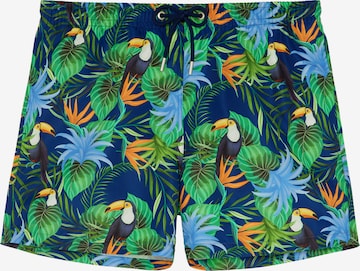 Shorts de bain 'Toucan ' HOM en mélange de couleurs : devant