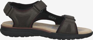 GEOX Trekking sandal in Brown