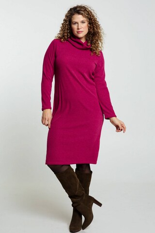 Paprika Strickkleid in Pink