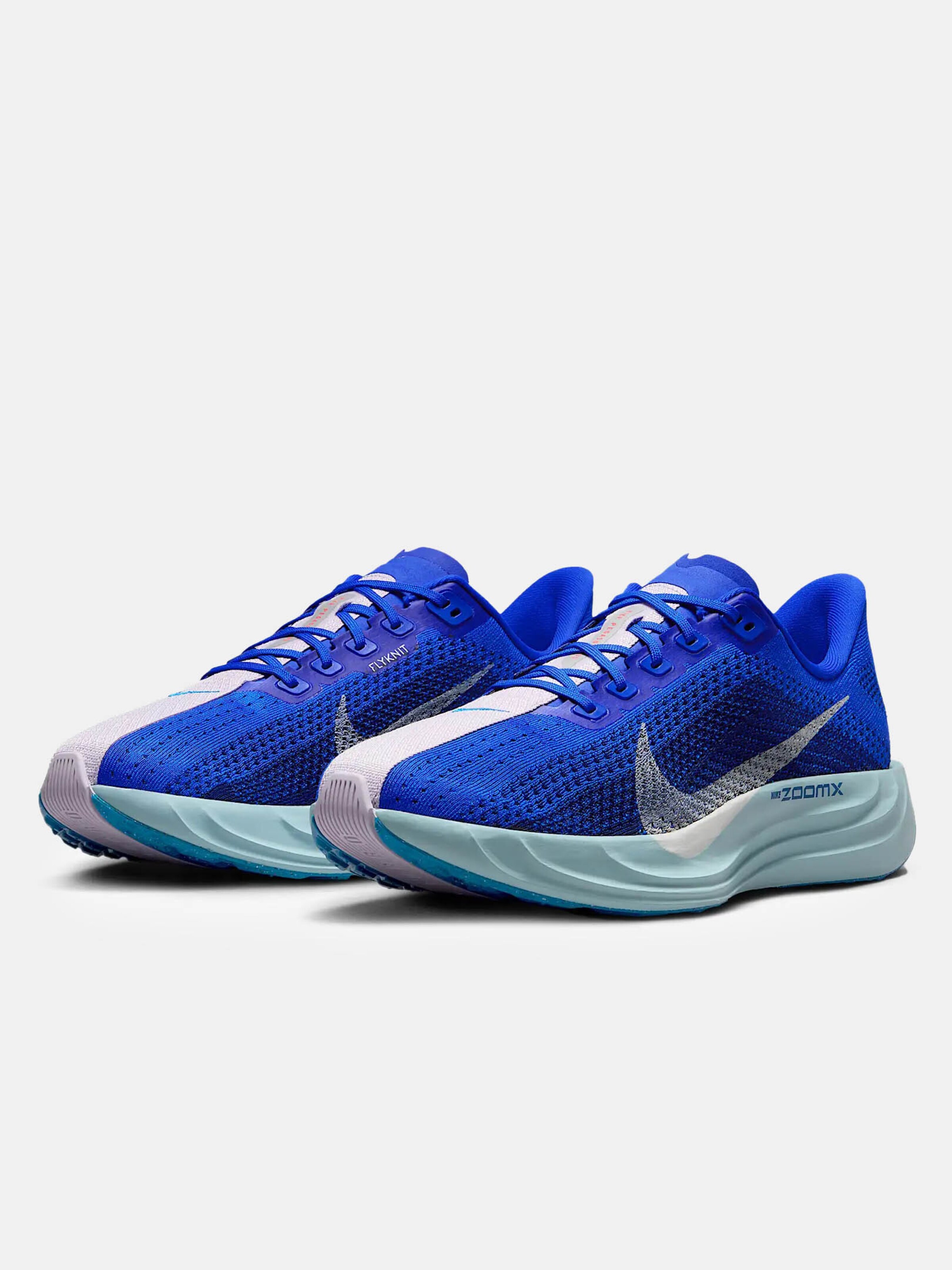 zoom pegasus turbo blue