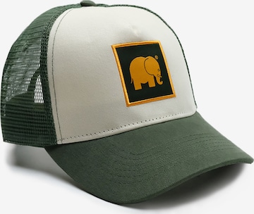 Casquette ' CLASSIC TRUCKER ' Trendsplant en vert : devant