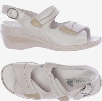 WALDLÄUFER Sandals & High-Heeled Sandals in 36 in White: front