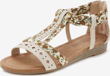 Sandales LASCANA en beige : devant