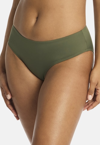 SEA LEVEL Bikinihose 'Essentials Edit' in Grün
