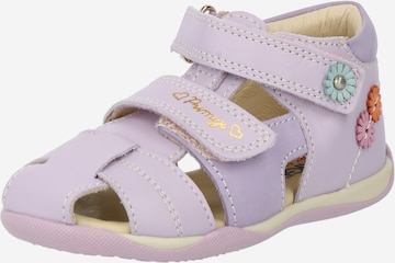 PRIMIGI Sandals & Slippers 'PIZ' in Purple: front