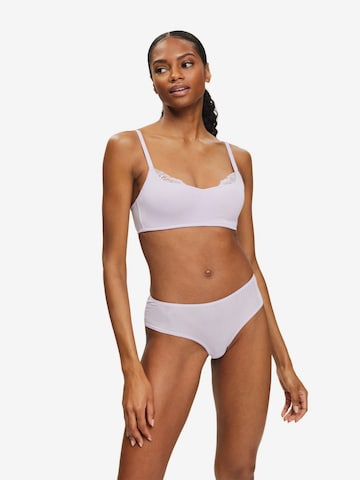 ESPRIT Panty in Lila: predná strana