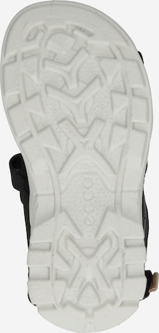 ECCO Sandals 'ECCO BIOM RAFT' in Black