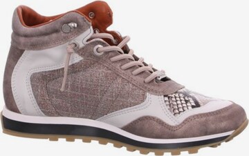 Cetti High-Top Sneakers in Mixed colors