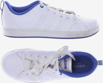 ADIDAS NEO Sneakers & Trainers in 38 in White: front