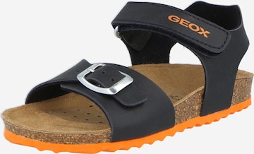 GEOX Sandals & Slippers 'Ghita' in Blue: front