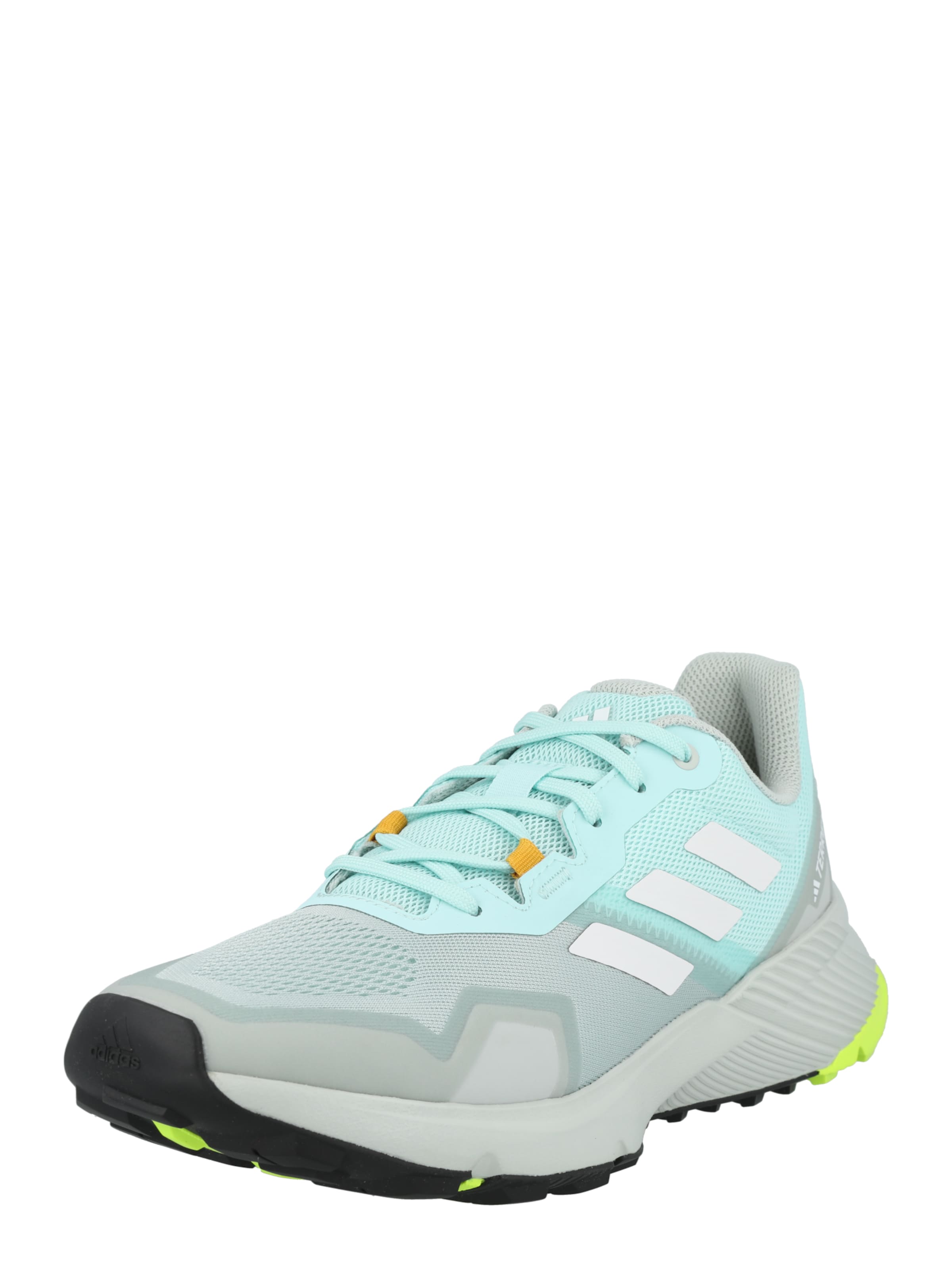ADIDAS TERREX Flats 'Soulstride' in Grey: front