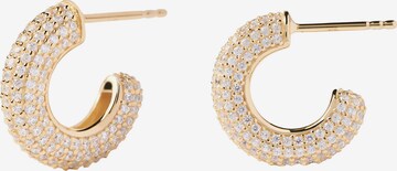 P D PAOLA Earrings in Gold: front