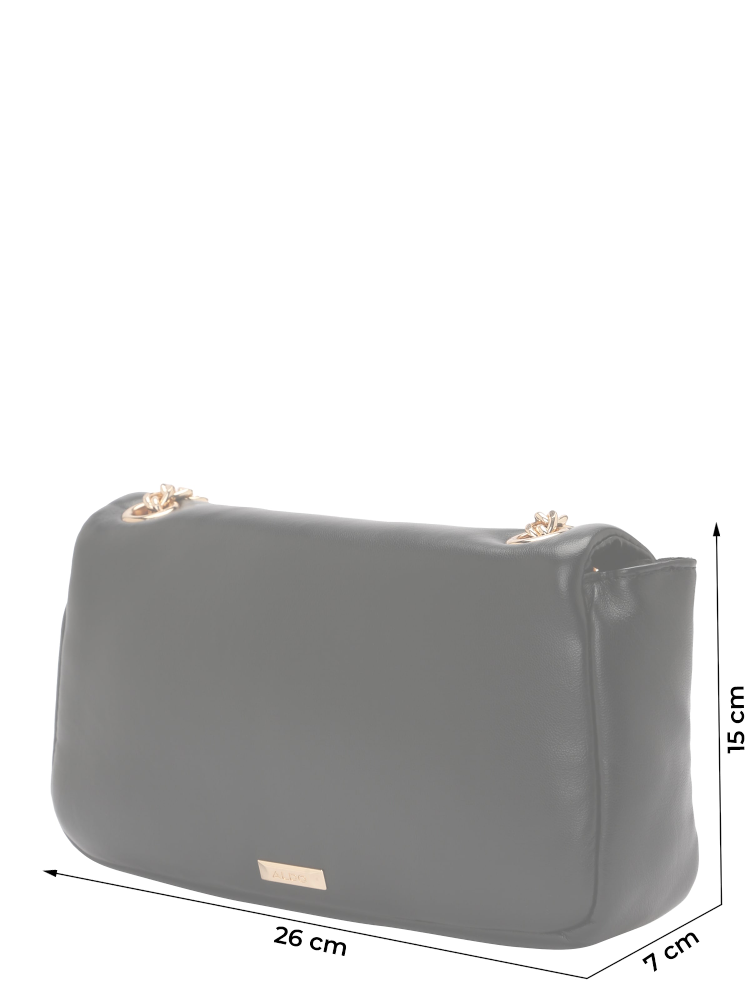 ALDO Crossbody bag 'OLYVIA' in Black