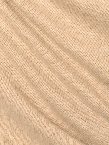 Brookshire Trui in Beige