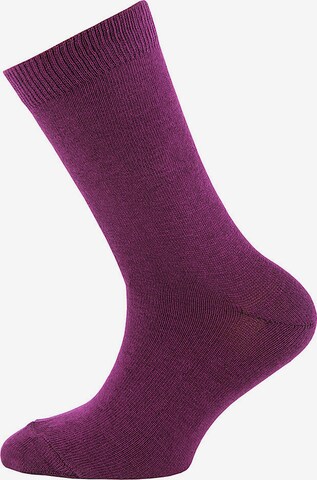 EWERS Regular Socks in Purple