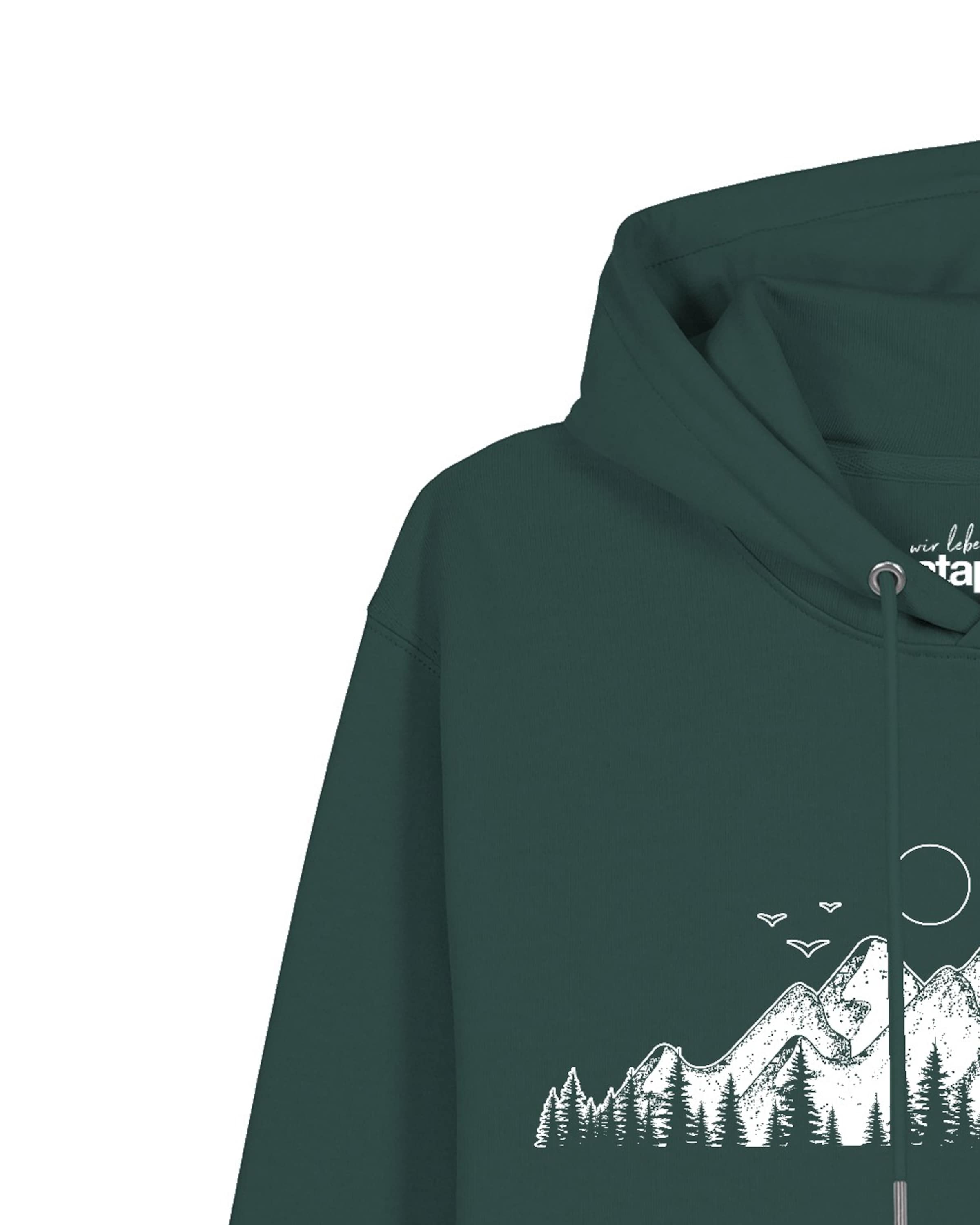 Felpa 'Mountains' di Watapparel in verde