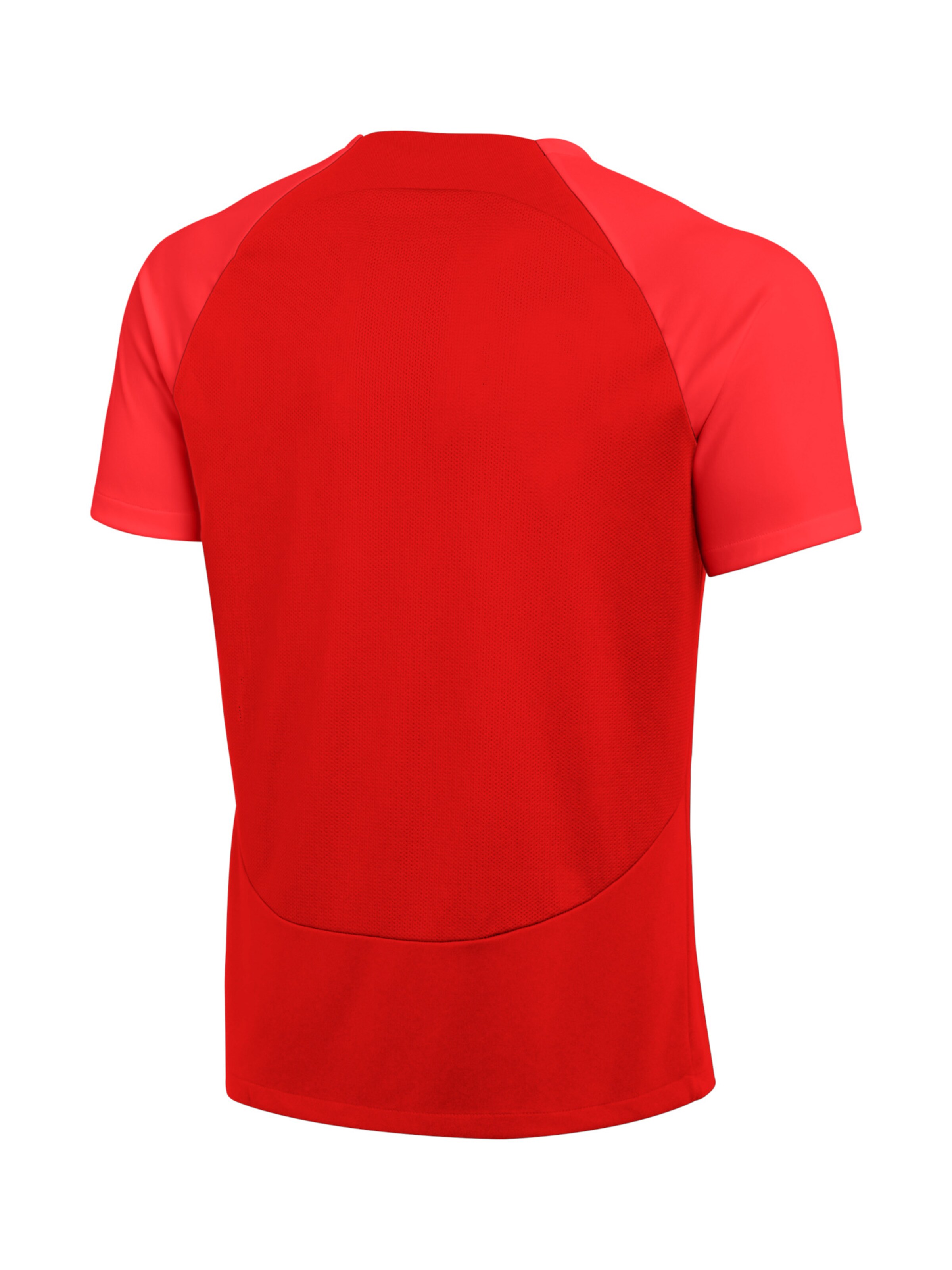 NIKE Performance Shirt 'Academy Pro' in Red