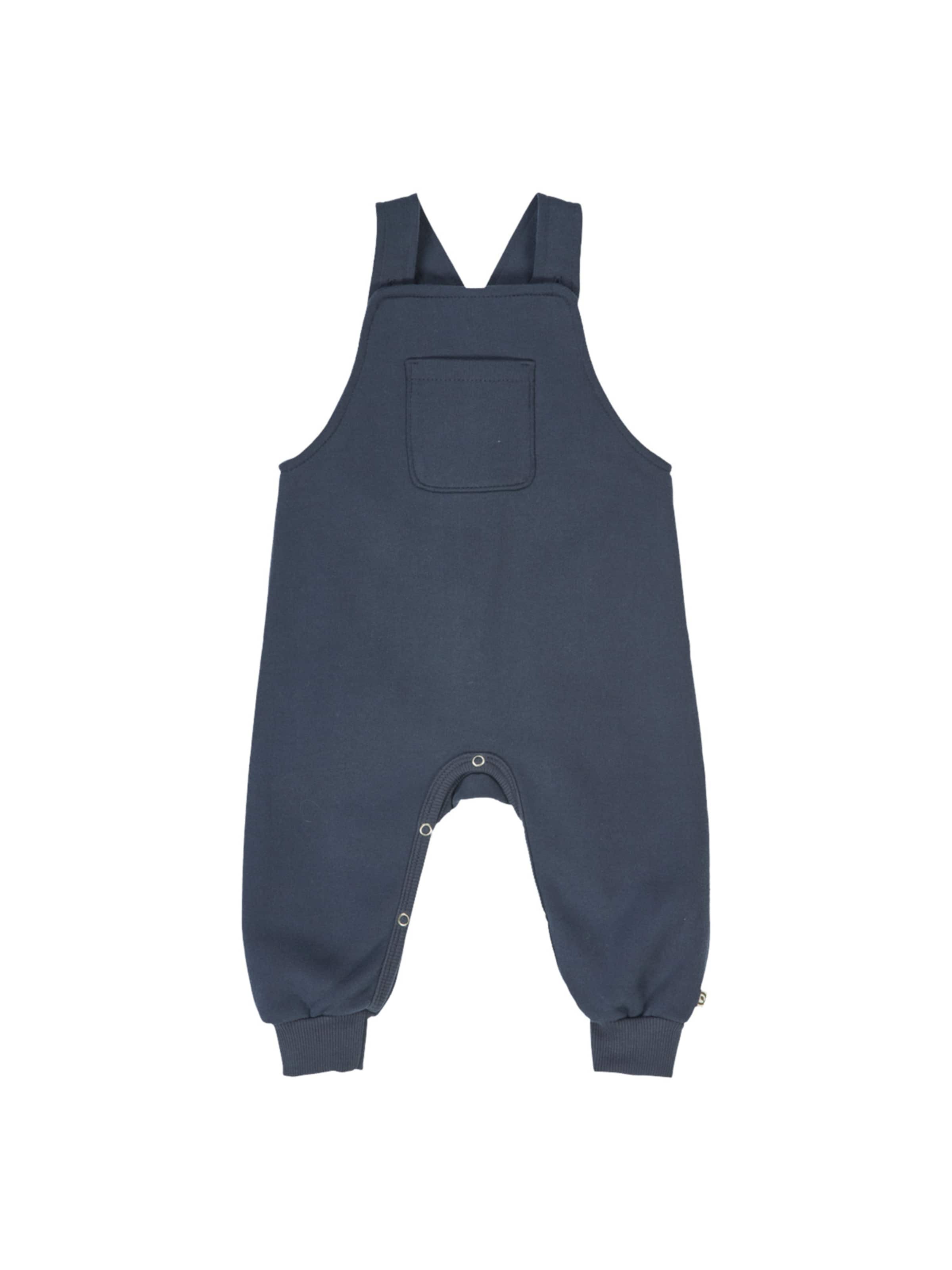 regular Pantaloni con pettorina '1584067900' di Müsli by GREEN COTTON in blu: frontale