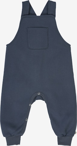 regular Pantaloni con pettorina '1584067900' di Müsli in blu: frontale
