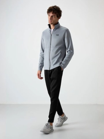 Survêtements Tommy Life en gris : devant