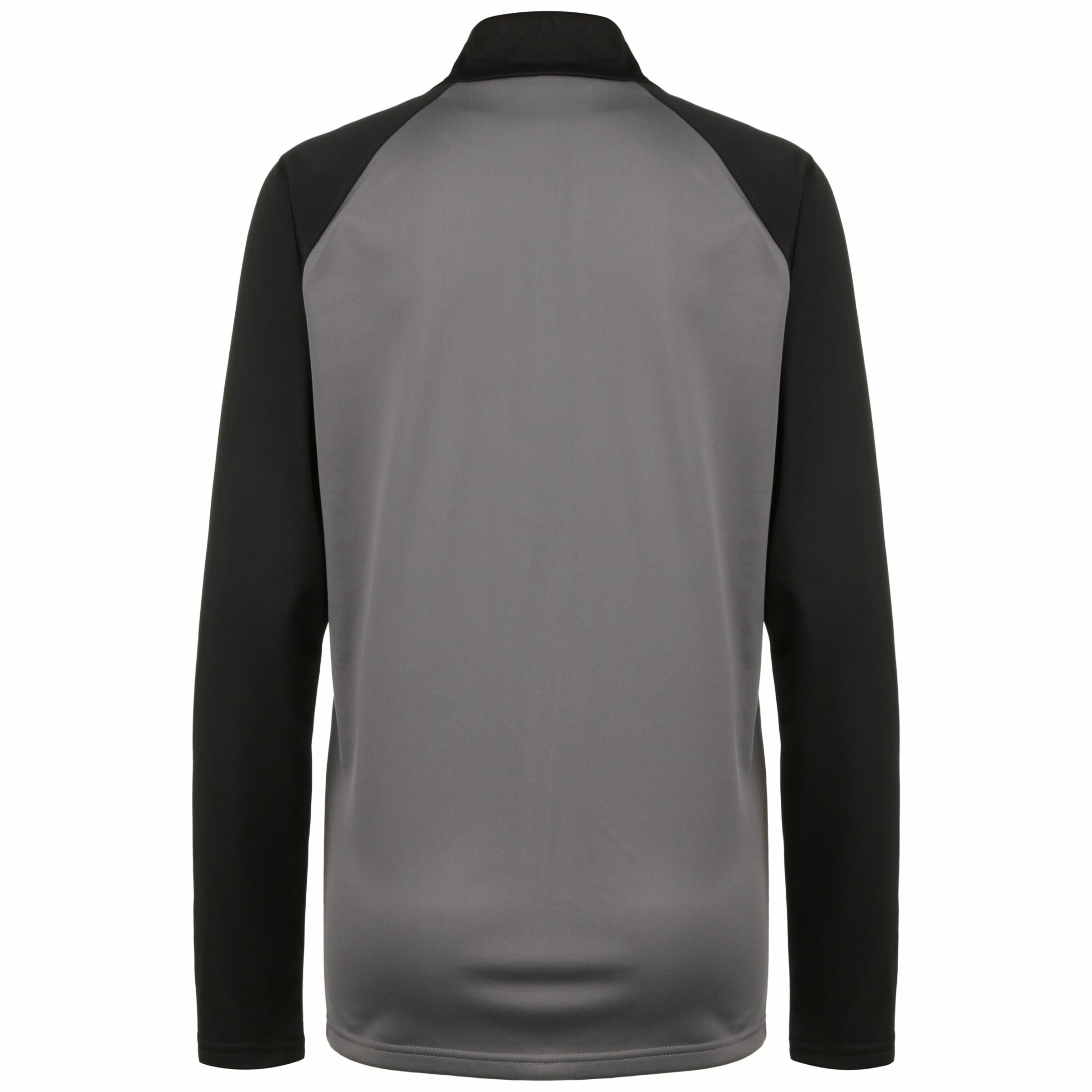 PUMA Sportjacke 'Team Liga' in Grau