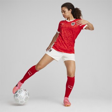 PUMA Jersey 'Österreich 2024' in Red