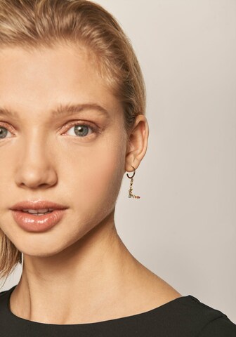 P D PAOLA Earrings in Gold: front