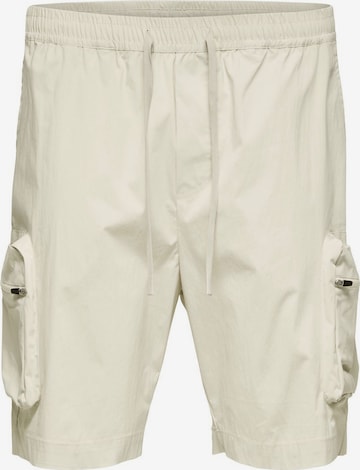 Pantalon cargo SELECTED HOMME en beige : devant